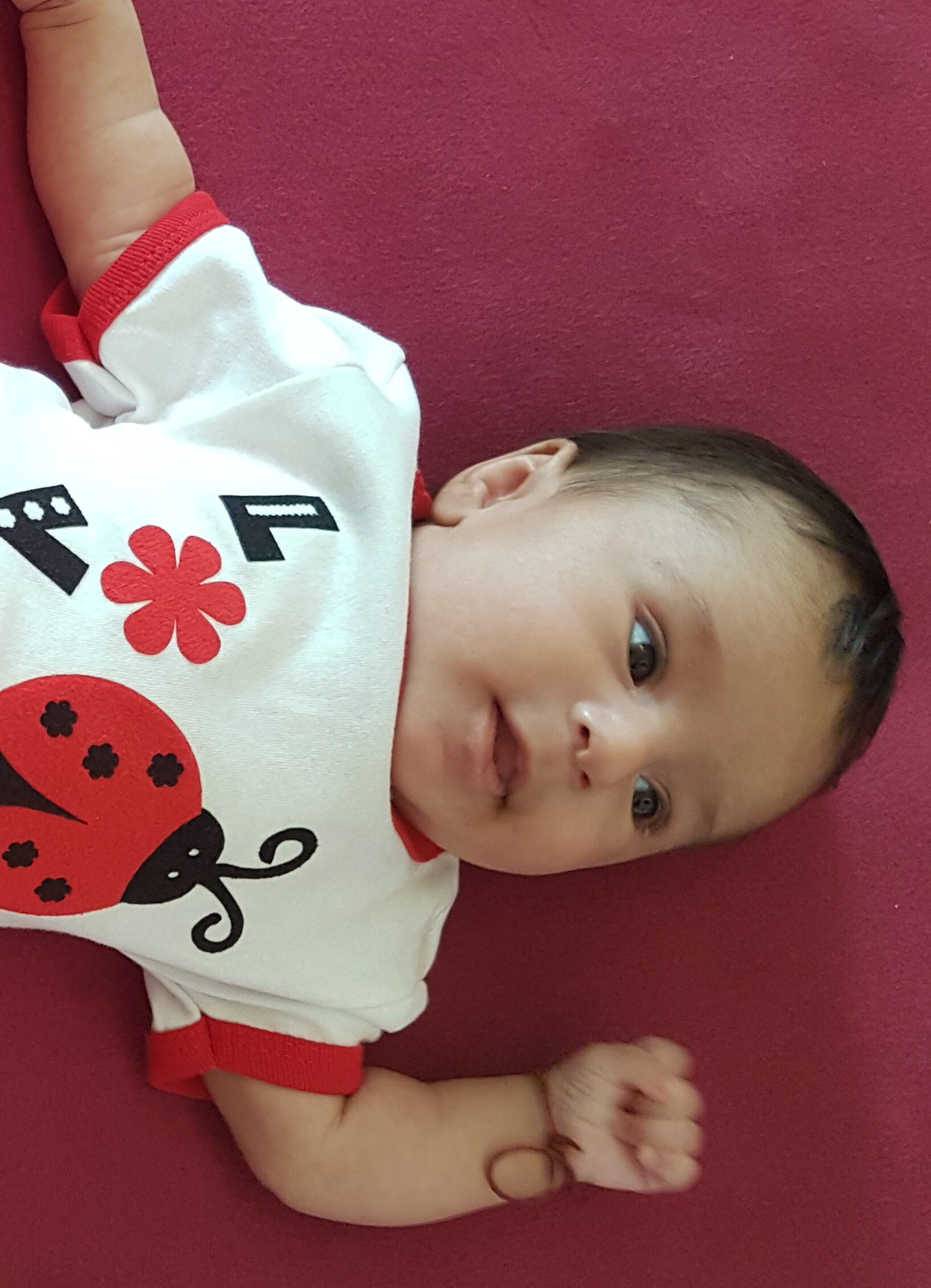 Hannah Elfeleh